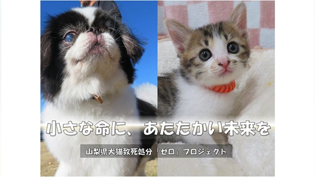 小さな命に、あたたかい未来を　山梨県犬猫致死処分「ゼロ」プロジェクト - CAMPFIRE (キャンプファイヤー)