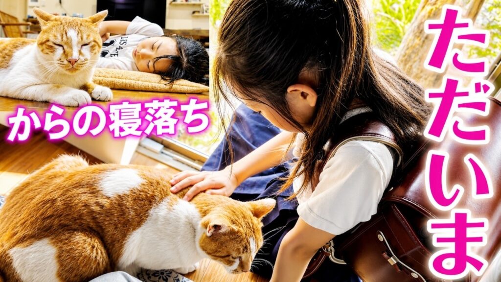 疲れて学校から帰った娘が庭子猫と一緒に寝落ちしました…笑【三毛母猫と子猫とジョア】 疲れて学校から帰った娘が庭子猫と一緒に寝落ちしました…笑【三毛母猫と子猫とジョア】