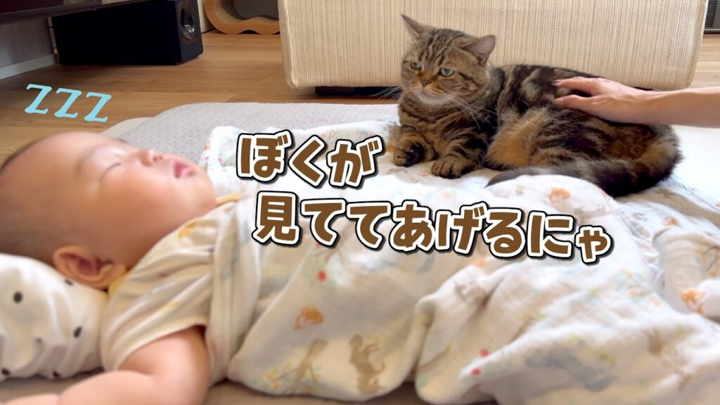急に赤ちゃんの子守りに目覚めた弟猫が可愛すぎる! 急に赤ちゃんの子守りに目覚めた弟猫が可愛すぎる!